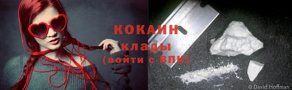 индика Белокуриха