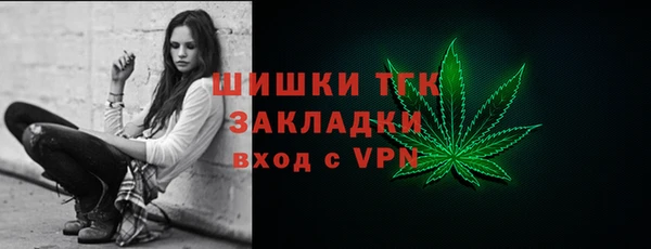 индика Белокуриха