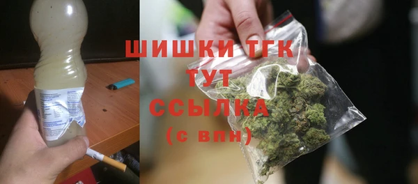 индика Белокуриха