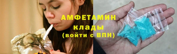 индика Белокуриха