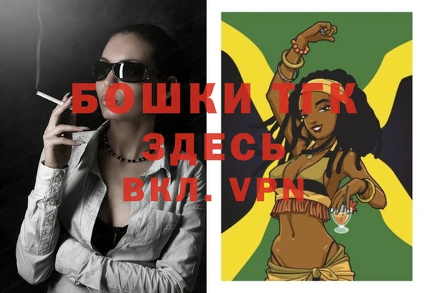 гидра Богородицк